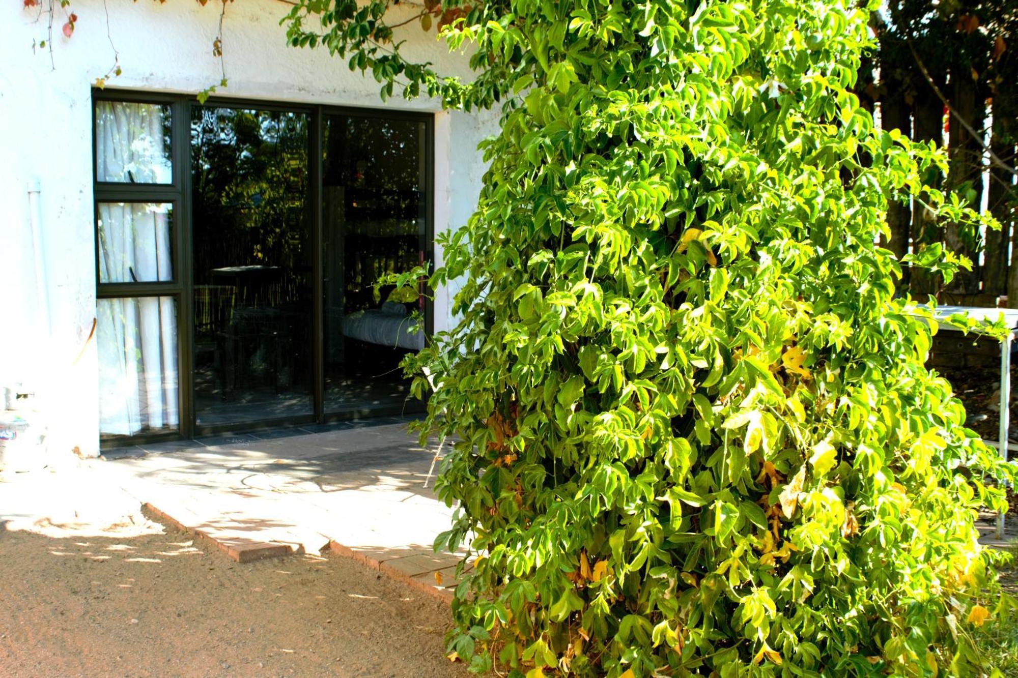 Ditsem Guest Farm อัพพิงตัน ภายนอก รูปภาพ