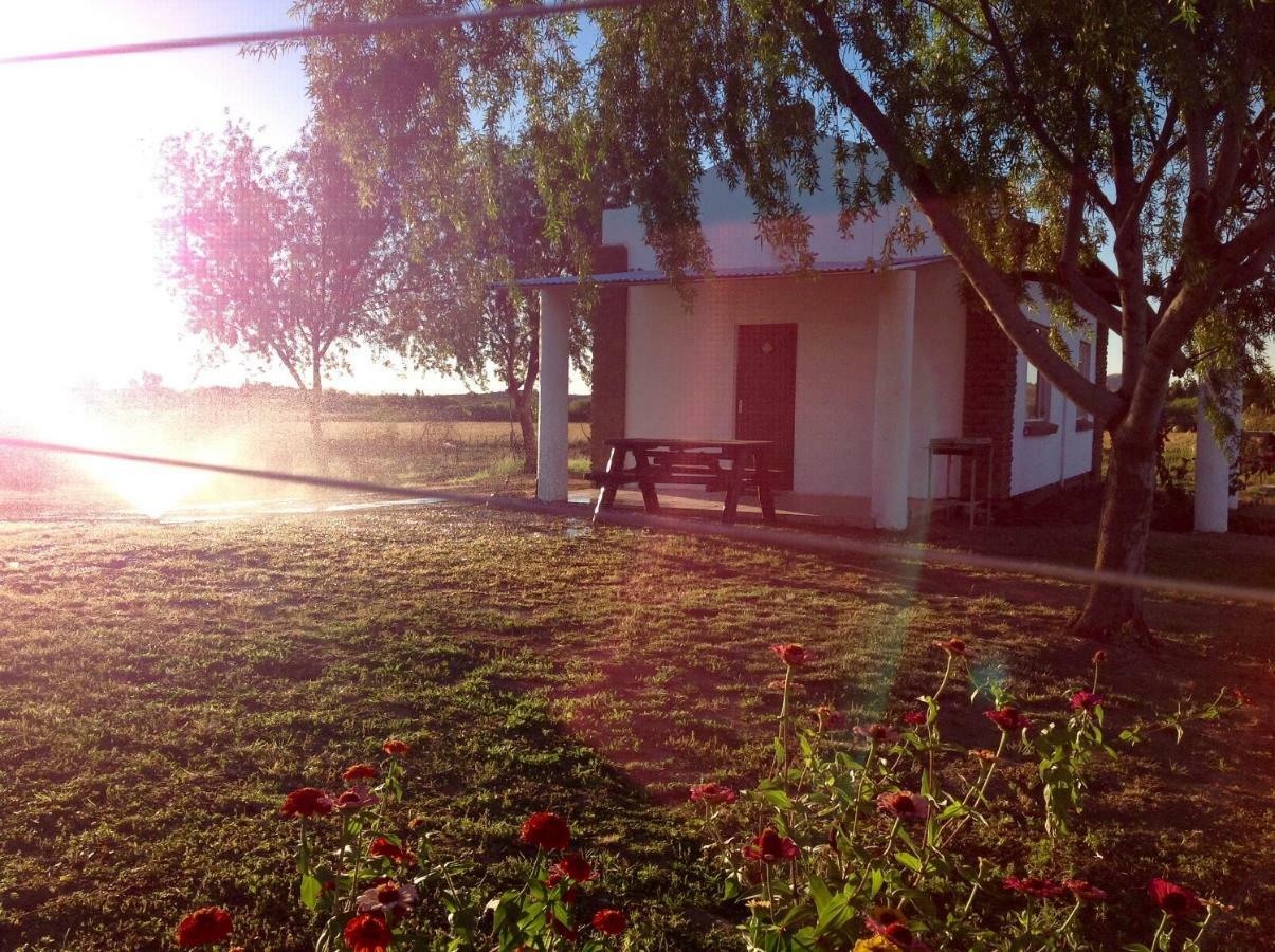 Ditsem Guest Farm อัพพิงตัน ภายนอก รูปภาพ
